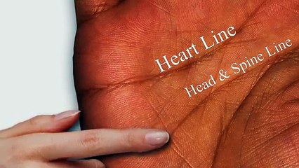 MONEY LINES- Female Palm Reading Palmistry #109