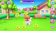 Boo - The Worlds Cutest Dog - Kids Gameplay Android