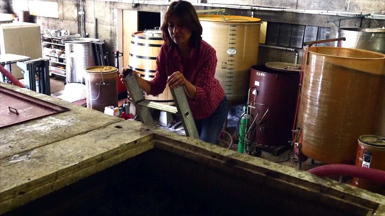 Vinification et élevage des Beaujolais rouges