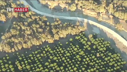 Selin etkisi havadan görüntülendi