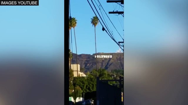 Le mythique panneau géant Hollywood de Los Angeles rebaptisé Hollyweed