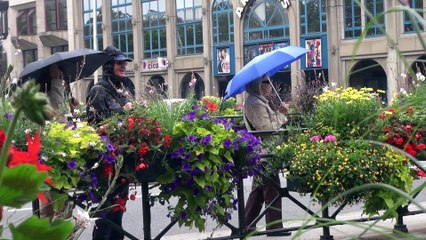 Concarneau Quimper Pleyben y Locroman