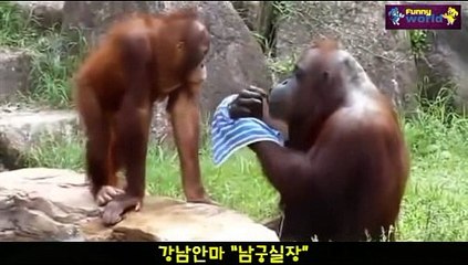 보물섬안마 010.4373.1910 남궁실장