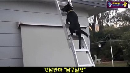 블루문안마 010⇔4373⇔1910『블루문안마,남궁실장』【블루문안마방,블루문안마실장】∑블루문안마위치∑블루문안마추천[[블루문안마위치 블루문안마추천