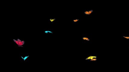 Free Stock Footage - Flying Butterflies Background