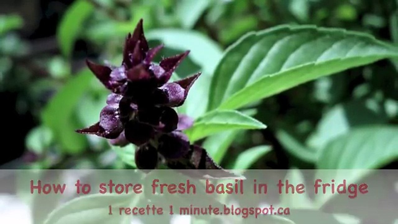 Kitchen Tricks How To Store Fresh Basil In The Fridge Video Dailymotion