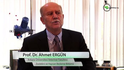 Türkiye piliç eti üretimindeki koşulları değerlendirir misiniz