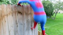 Spiderman vs Black Spiderman - Real Life Superhero Battle _ Boxing Fight-E7oEk