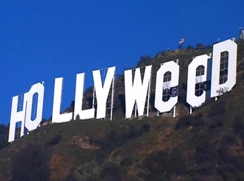 Public Buzz : Quand Hollywood devient Hollyweed pour fêter la légalisation du cannabis !