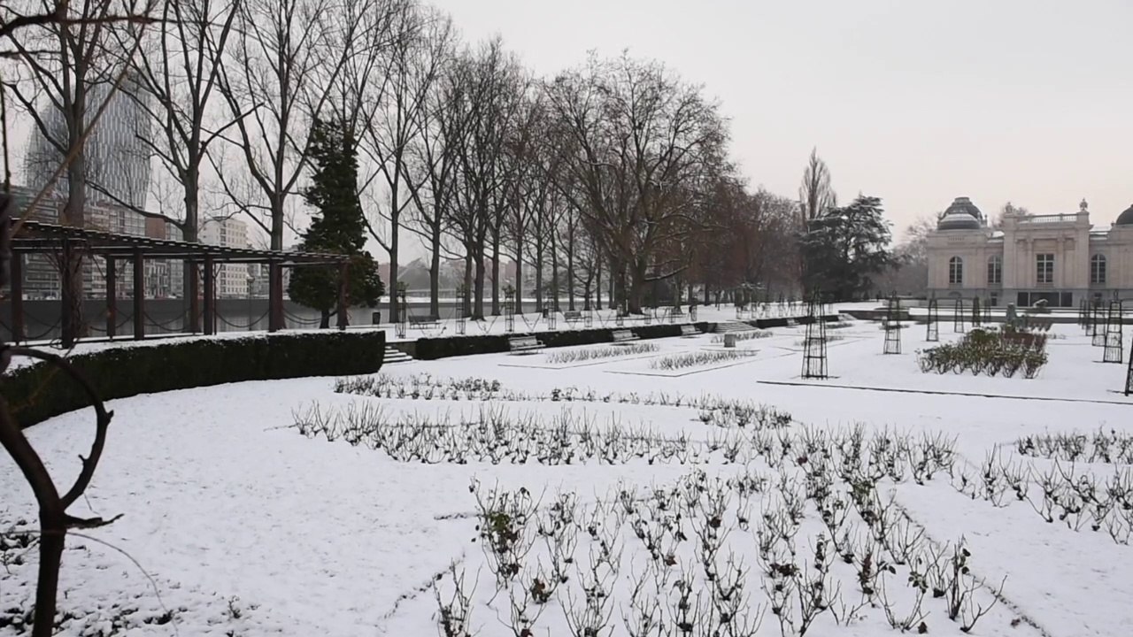 La neige à Liège