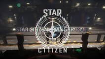 Star citizen 2.5 Hangar Tour : Mustang Beta