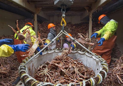 King crabbing in Northern Norway.