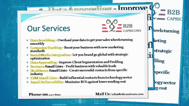 B2B Capricorn - Email Marketing Services