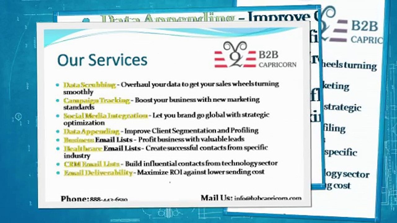 B2B Capricorn - Email Marketing Services