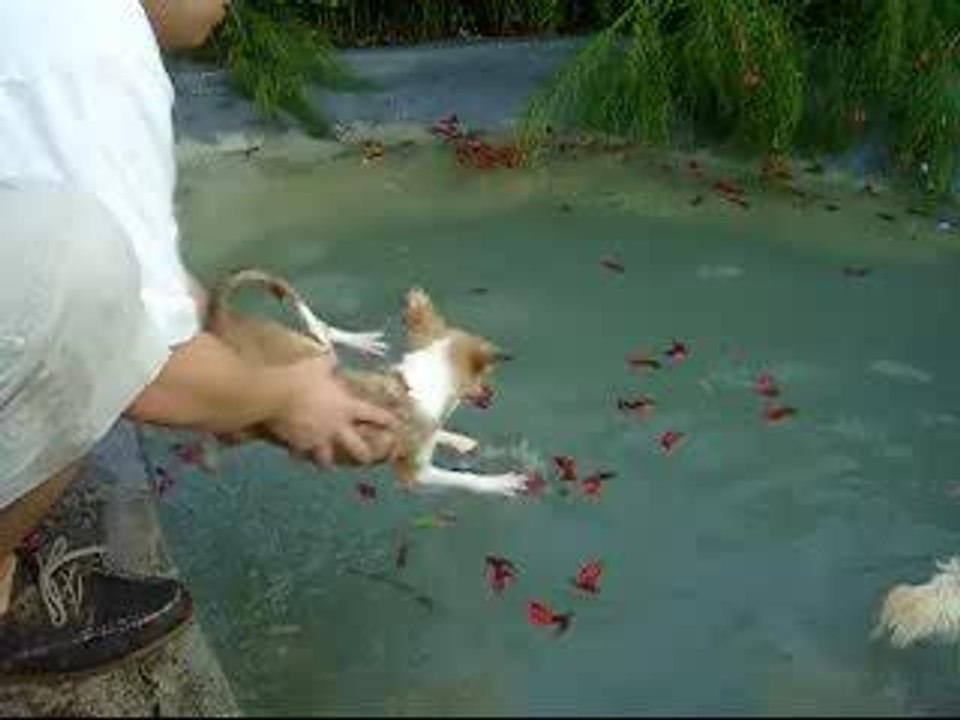 1st swimming lesson