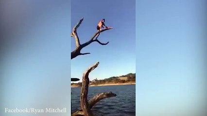 Tenter de sauter depuis un arbre Fail !!