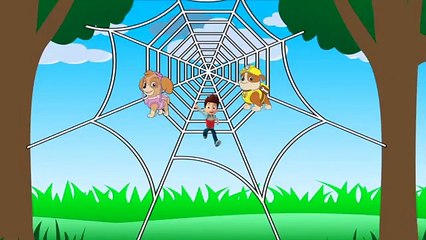Itsy Bitsy Spider Kids Song | Rubble Incy Wincy Spider Nursery Rhyme | Kids Video #Animation
