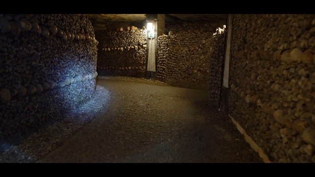 Les Catacombes de Paris | Paris Musées