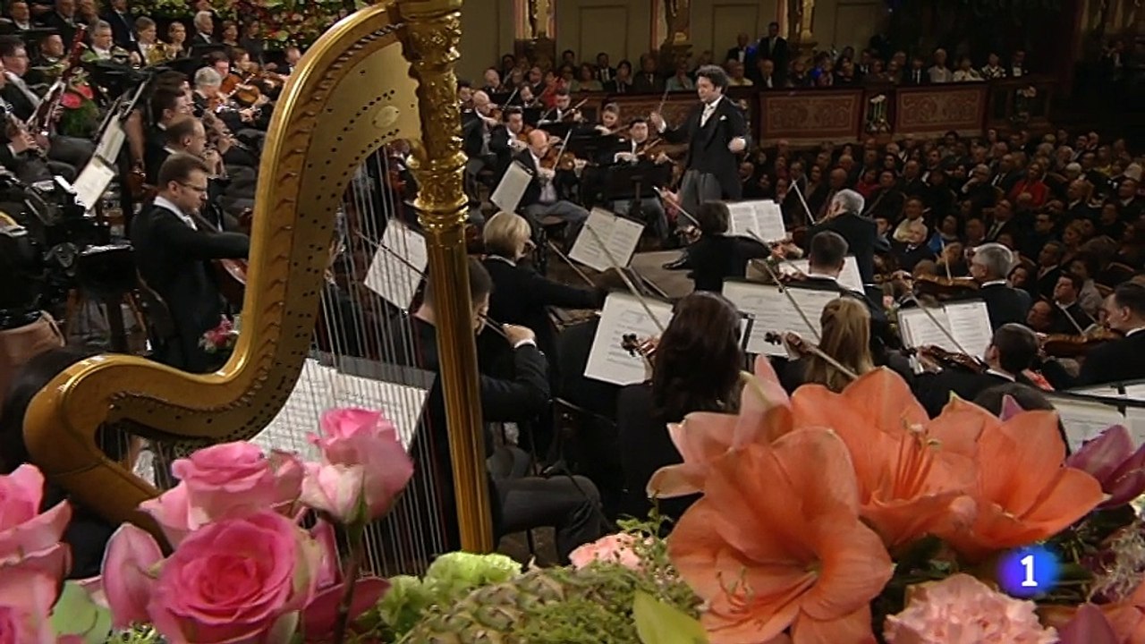 Concierto de Año Nuevo 2017 3/3
