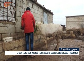 سوريا: استخدام الحيوانات وسيلة للتنقل في زمن الحرب