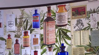 Cannabis museum celebrates legal weed in Uruguay[1]