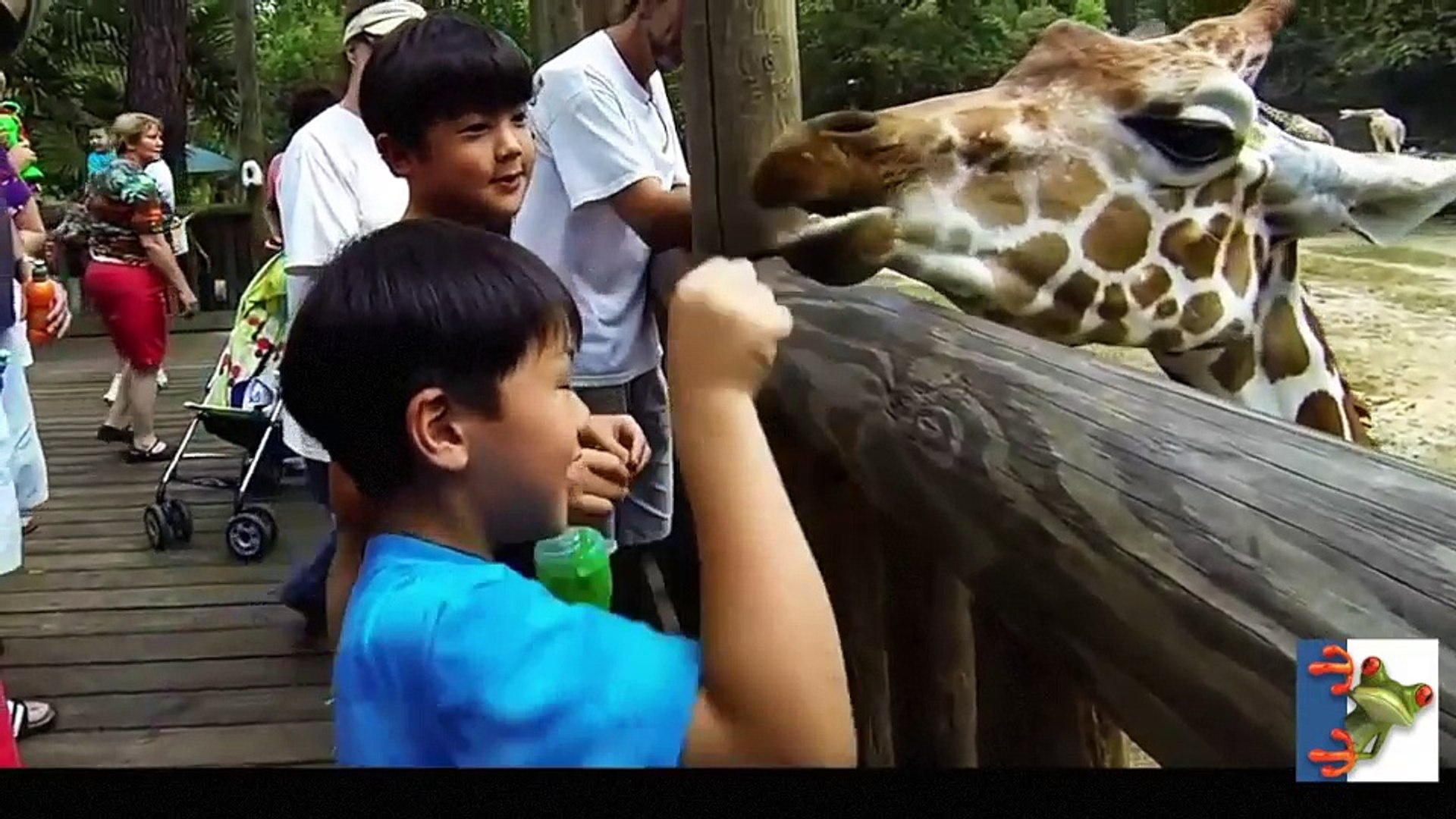 ⁣Funny kids and animals 2016 - Bimbi allo zoo divertente