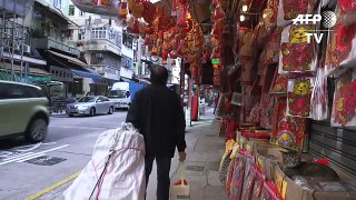 Hong Kong's feline friends offer insight into city's past[2]