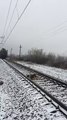 Deux chiens passent sous un train