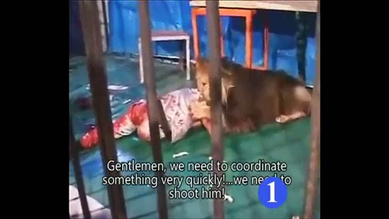 由獅子的攻擊