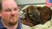 Pria melakukan bedah caesar darurat pada rusa hamil yang tertabrak mobil - Tomonews