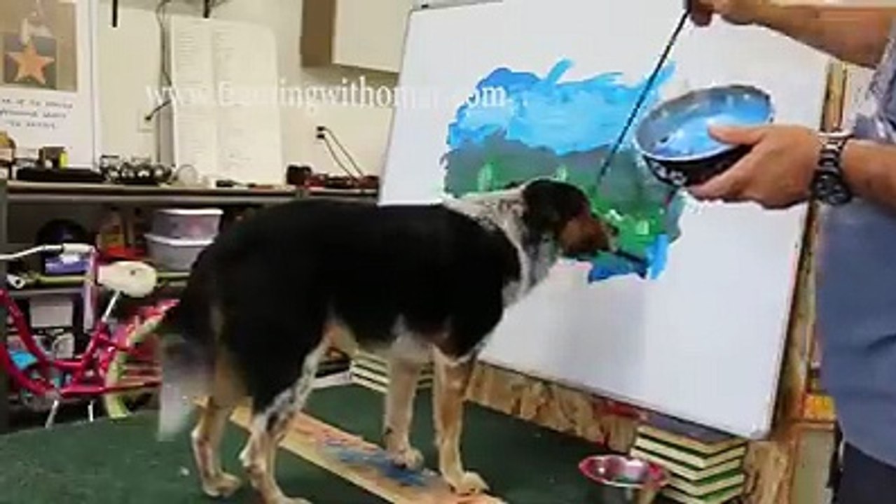 YETENEKLİ KÖPEKTEN MANZARA ÇİZİMİ