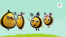 The Hive Bee Movie Dancing Finger Family Song | Cartoon Animation Nursery Rhymes for Children Babies