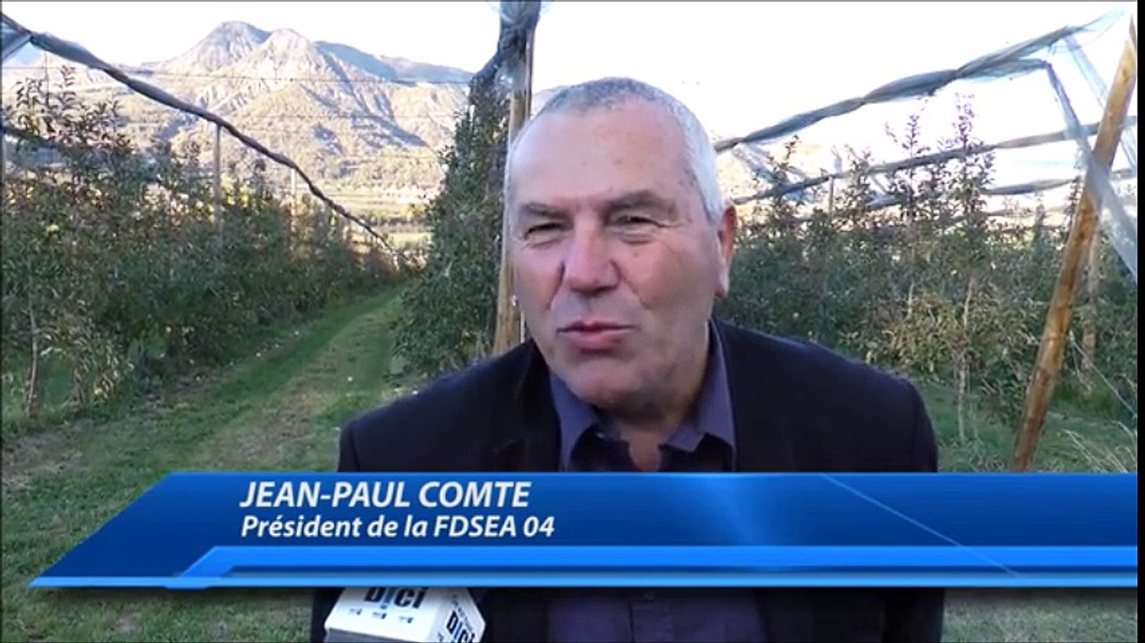 Une nouvelle louve tuée à Draix (04), près de Digne-les-Bains