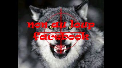 Le pastoralisme moderne. Et bientôt des drones renifleurs de loups et équipés d'une arme pour ne pas manquer le coup.