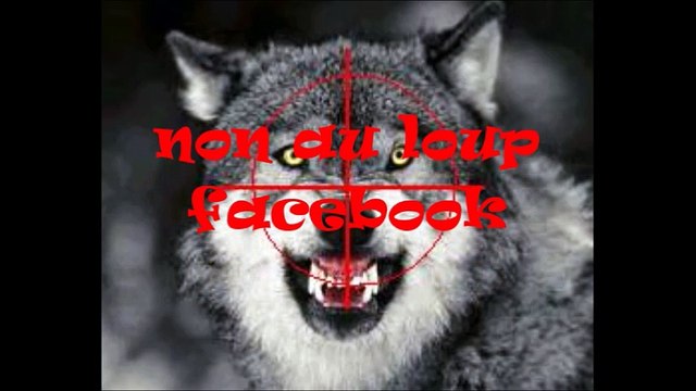 Le pastoralisme moderne. Et bientôt des drones renifleurs de loups et équipés d'une arme pour ne pas manquer le coup.