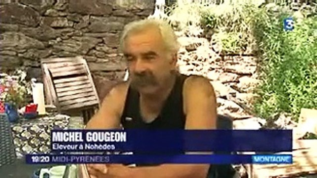 Présence du loup dans les Pyrénées - France 3 Midi-Pyrénées