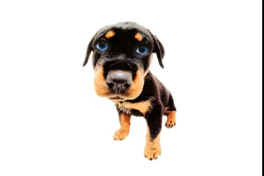 Have a Sooper Doobie Happy Birthday!!