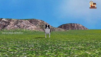 Goat finger family nursery kid educational 3d english children rhymes