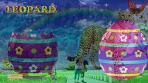 Easter Eggs Surprise Learning Wild Animals Names For Children | Easter eggs Wild Animals Sounds