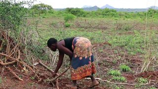 Mozambique's escalating violence forces thousands to flee