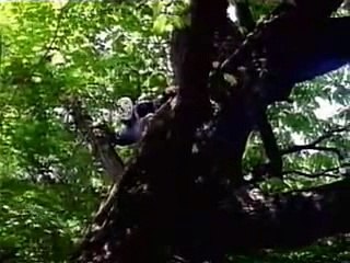 바카라베팅법ま／／ ＧＭ５５４。COM  ／／や카지노잭팟