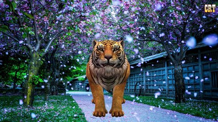 Animals Nursery Rhymes | Sounds For Kids | Learn Animals Rhyme