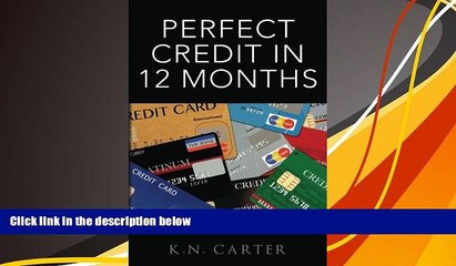 Audiobook Perfect Credit In 12 Months K. N. Carter Audiobook Download