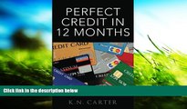 Pre Order Perfect Credit In 12 Months K. N. Carter mp3