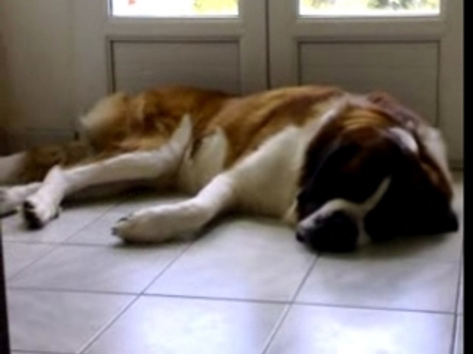 achille en plein rêve