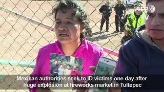 Mexico seeks to ID bodies after huge fireworks blast