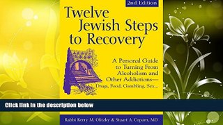 Audiobook Twelve Jewish Steps to Recovery 2/E: A Personal Guide to Turning From Alcoholism and