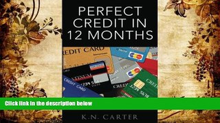 PDF  Perfect Credit In 12 Months K. N. Carter Trial Ebook