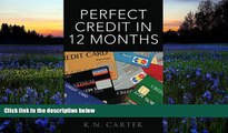 Pre Order Perfect Credit In 12 Months K. N. Carter mp3