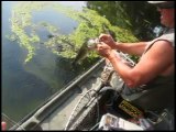 Bass Fishing Several Hollow Frogs